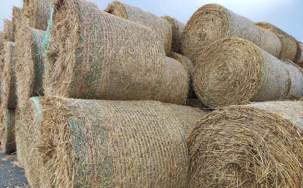 稭稈回收能做什麽  稭稈回收再利用項目熱解炭氣聯産介紹